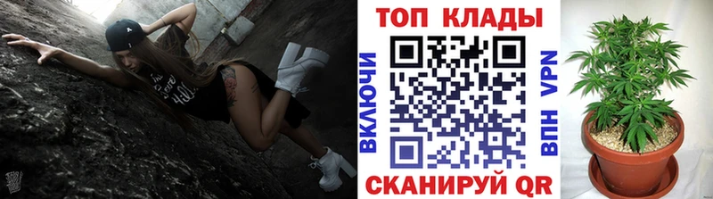Где купить наркоту Шадринск А ПВП MEGA ТОР Марихуана Галлюциногенные грибы Cocaine Гашиш