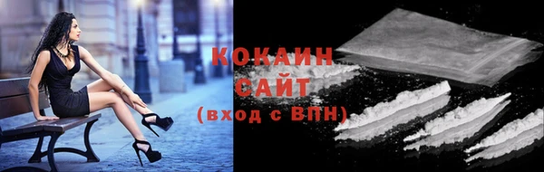 ГАЛЛЮЦИНОГЕННЫЕ ГРИБЫ Богданович