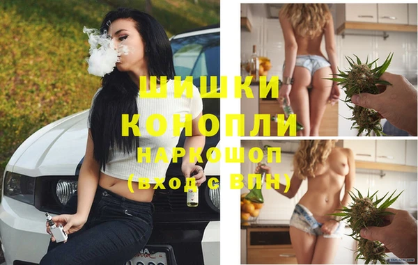 хмурый Бронницы