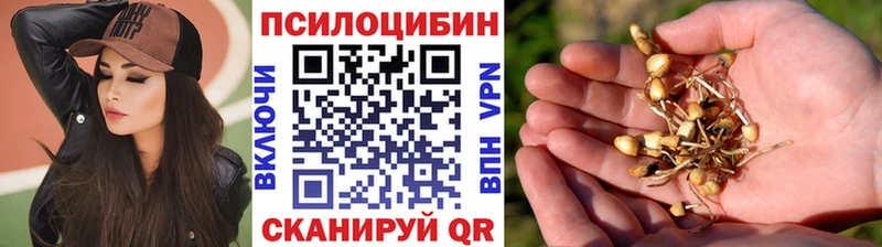 гидра ТОР  Шадринск  Псилоцибиновые грибы Psilocybine cubensis 